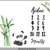Panda 3 Milestone Blanket Eng