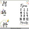 Party Panda Milestone Blanket Eng