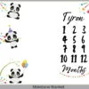 Party Panda Milestone Blanket Eng