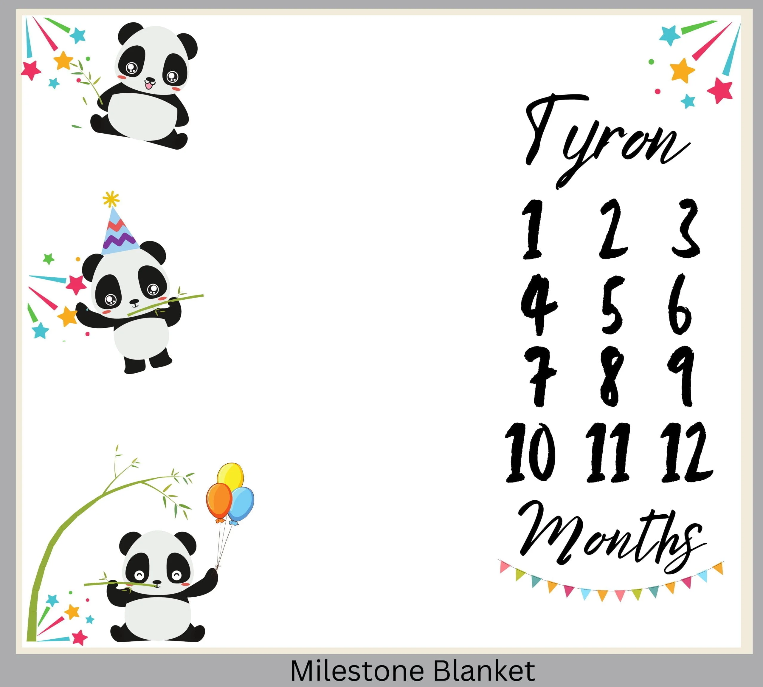 Party Panda Milestone Blanket Eng