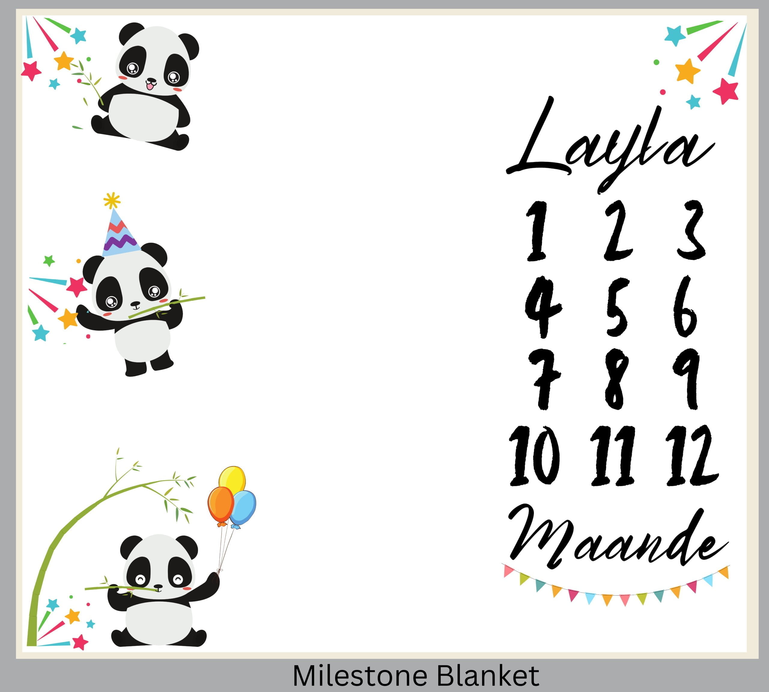 Party Panda Milestone Blanket Afr