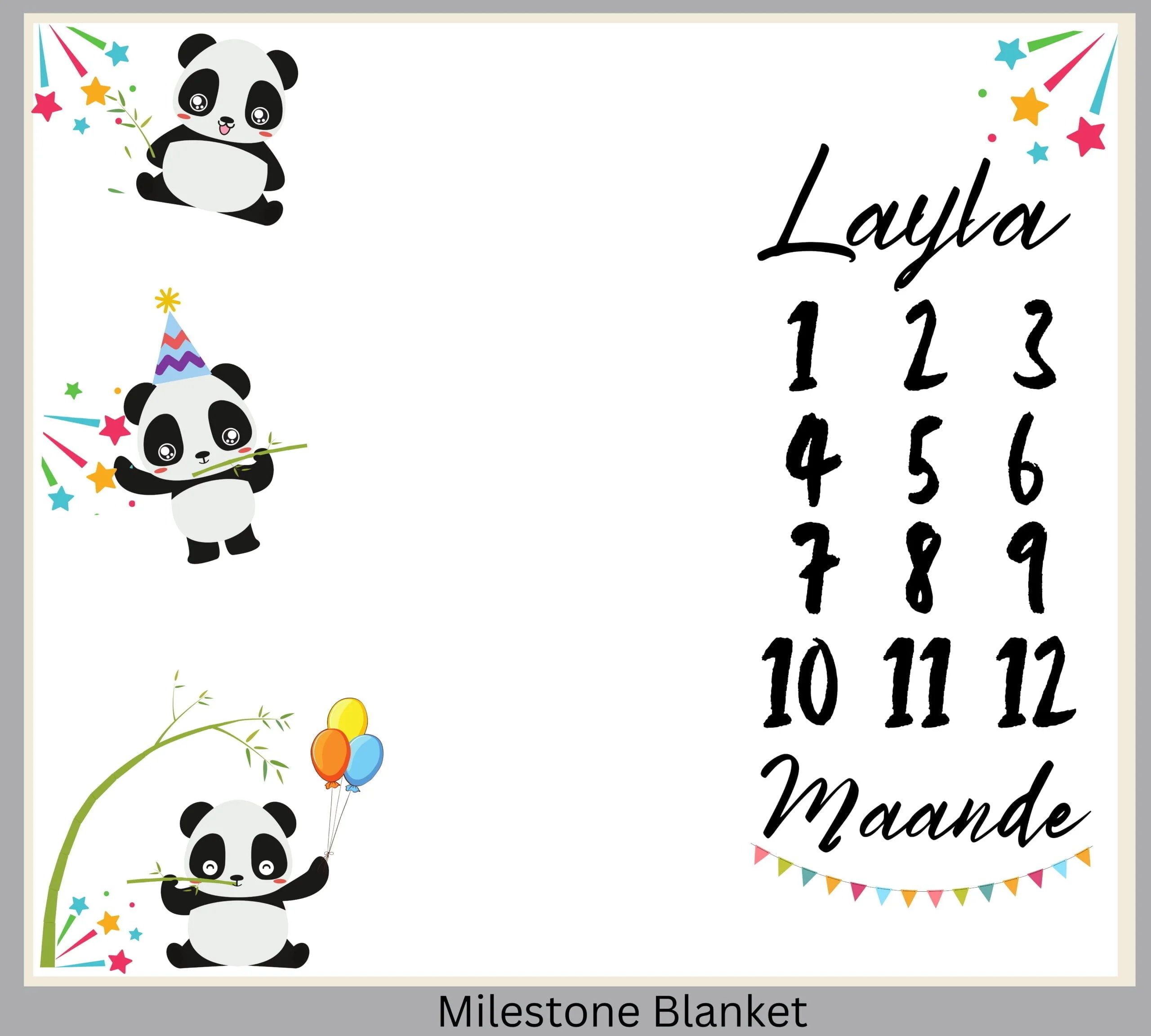 Party Panda Milestone Blanket Afr
