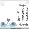 Elephant 2 Milestone Blanket Eng