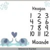 Elephant 2 Milestone Blanket Eng