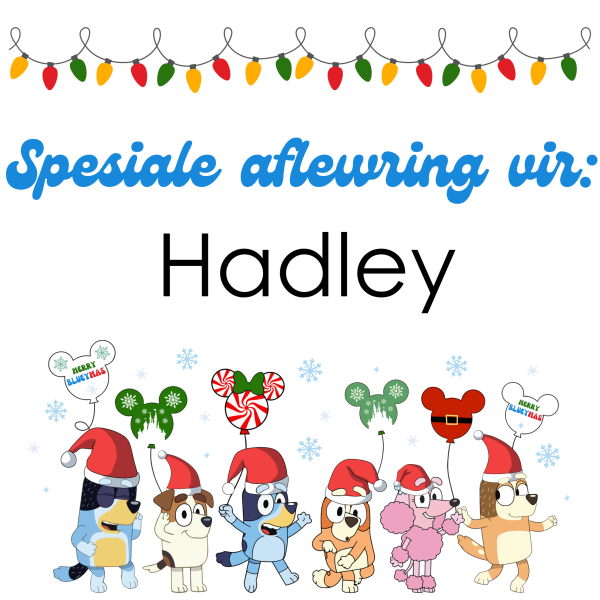 Bluey Christmas Sack Design - Afr