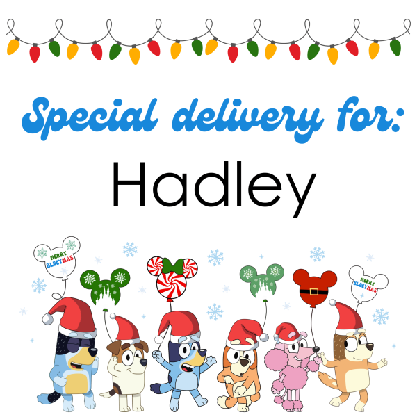 Bluey Christmas Sack Design - Eng