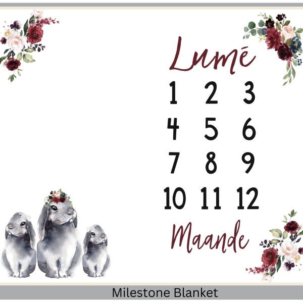 Bunny Milestone Blanket Afr