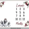 Bunny Milestone Blanket Eng