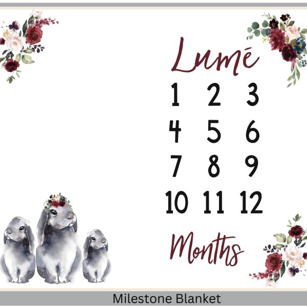 Bunny Milestone Blanket Eng