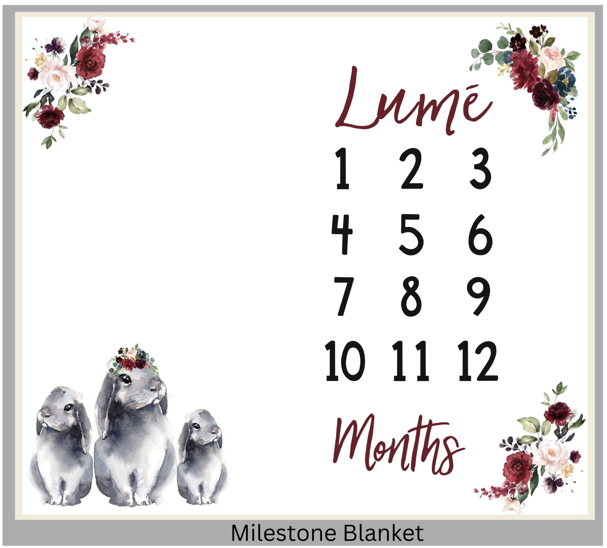 Bunny Milestone Blanket Eng