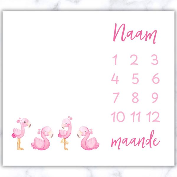 Flamingo Milestone Blanket