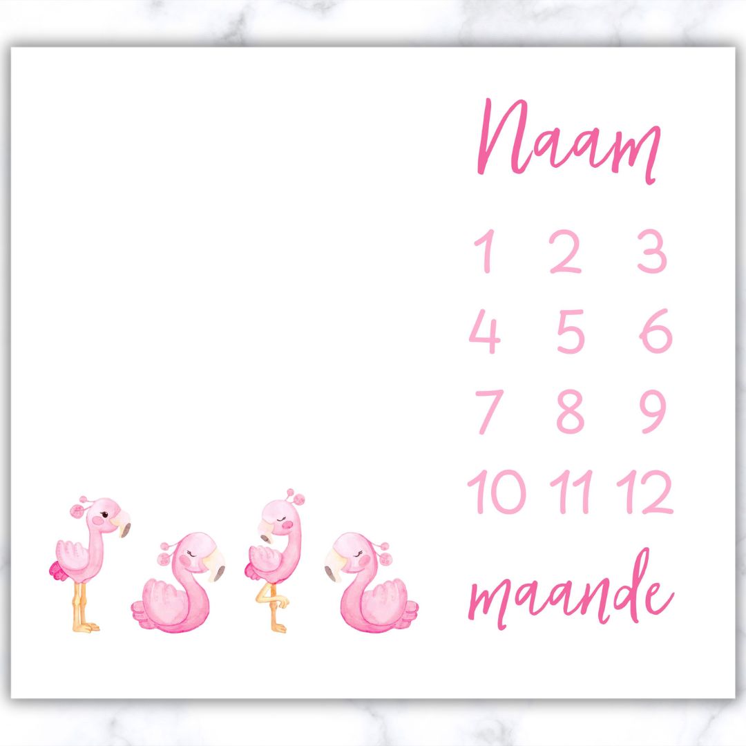 Flamingo Milestone Blanket