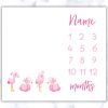 Flamingo Milestone Blanket