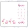 Flamingo Milestone Blanket