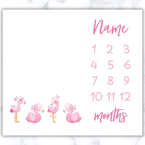 Flamingo Milestone Blanket