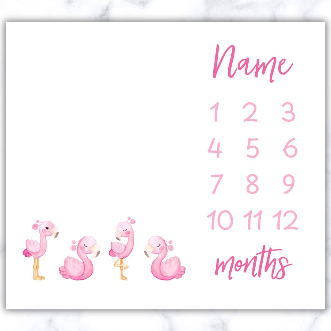 Flamingo Milestone Blanket