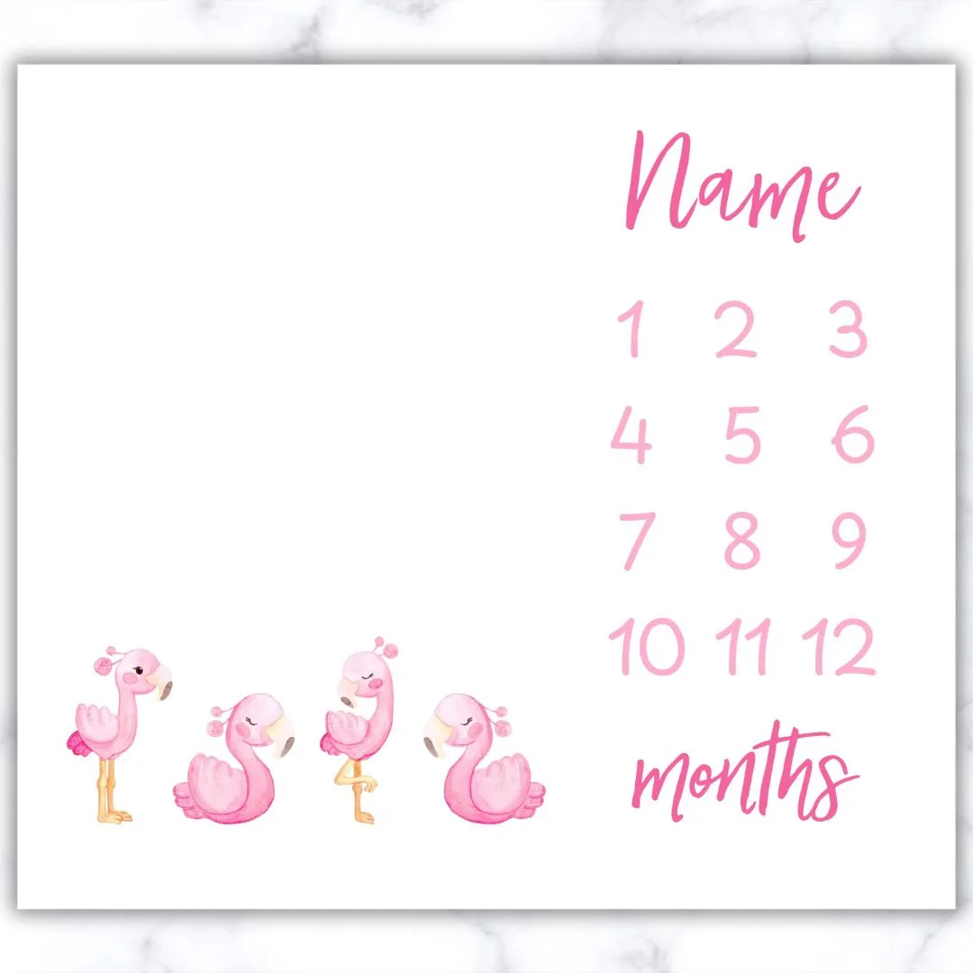 Flamingo Milestone Blanket