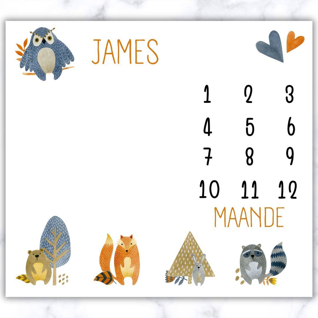 Forest-Friends-Milestone-Blanket