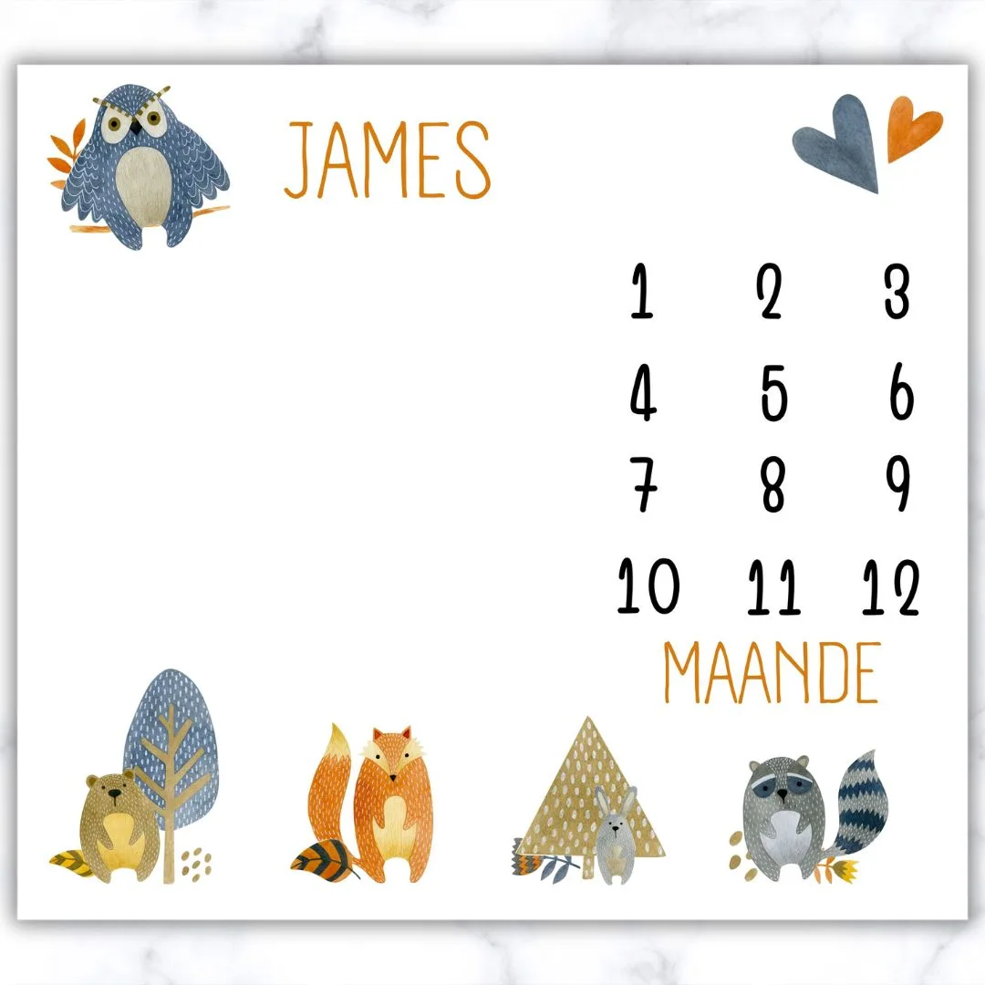 Forest-Friends-Milestone-Blanket