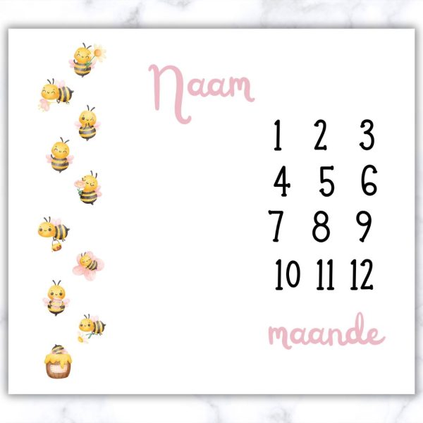 Girly Bee Milestone Blanket