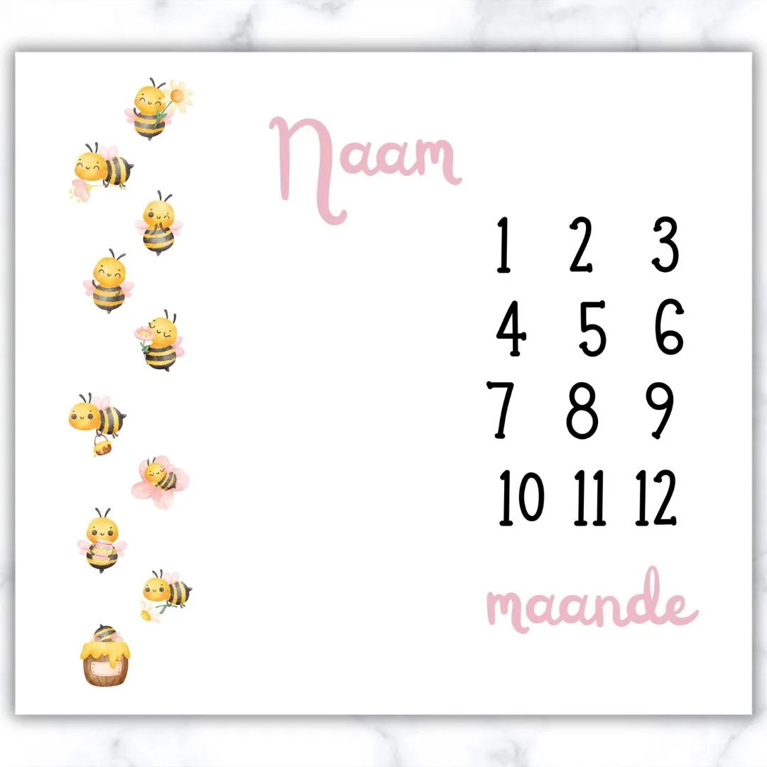 Girly Bee Milestone Blanket