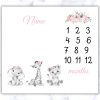 Girly Wildlife Milestone Blanket