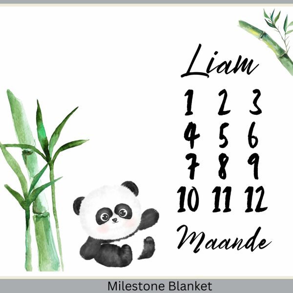 Panda 3 Milestone Blanket Afr