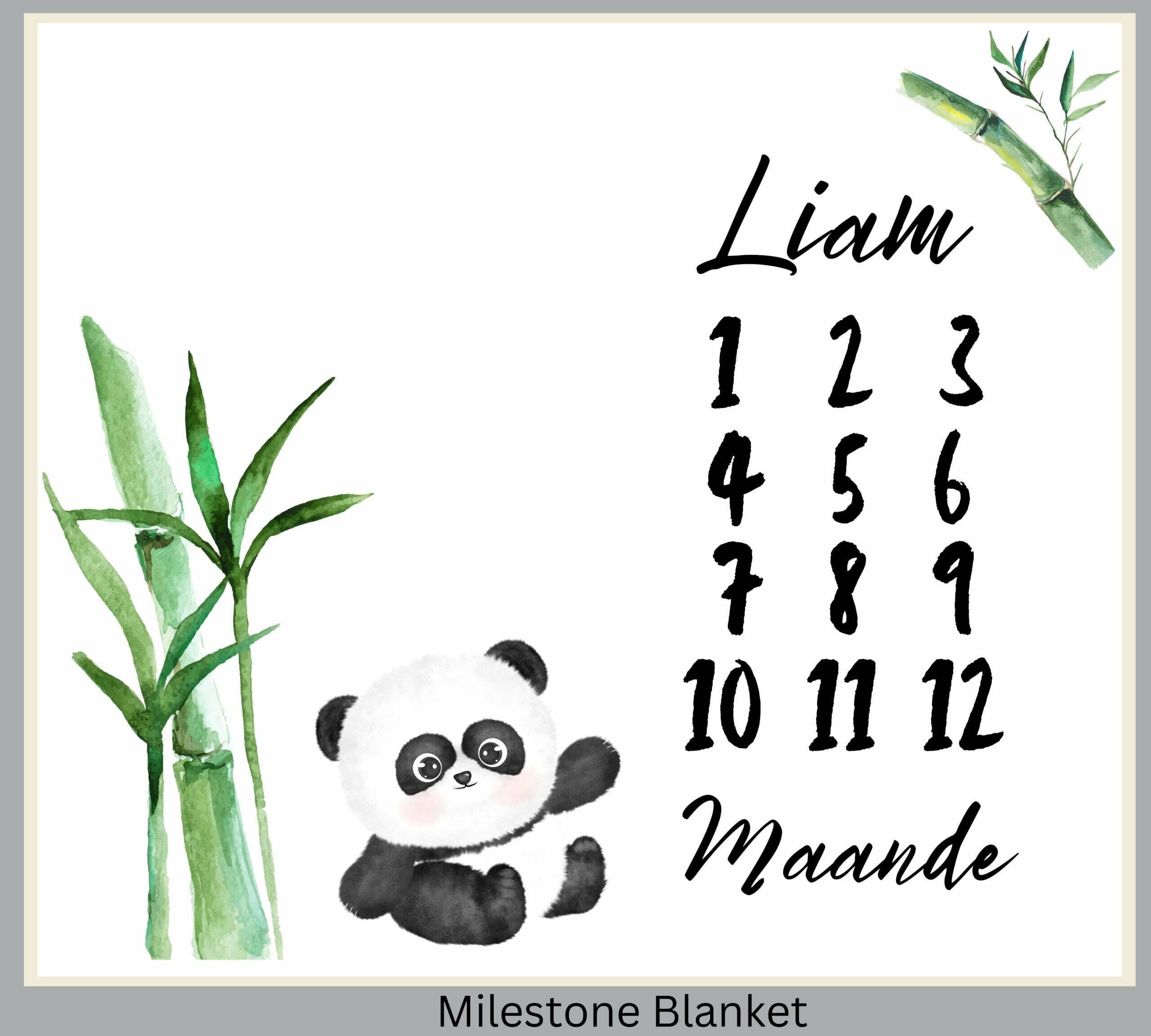 Panda 3 Milestone Blanket Afr