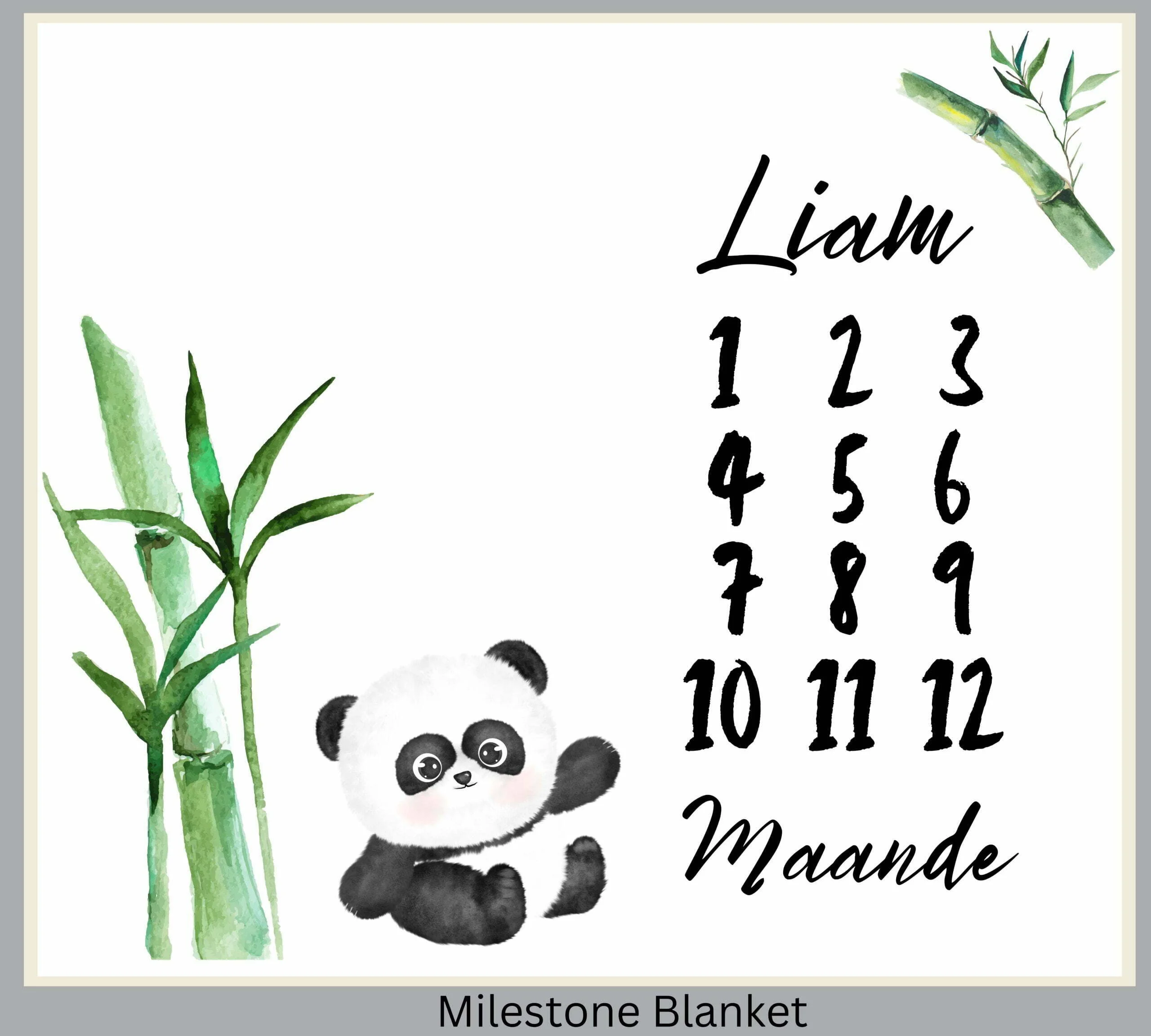 Panda 3 Milestone Blanket Afr
