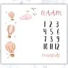 Pink Hot Air Balloons Milestone Blanket