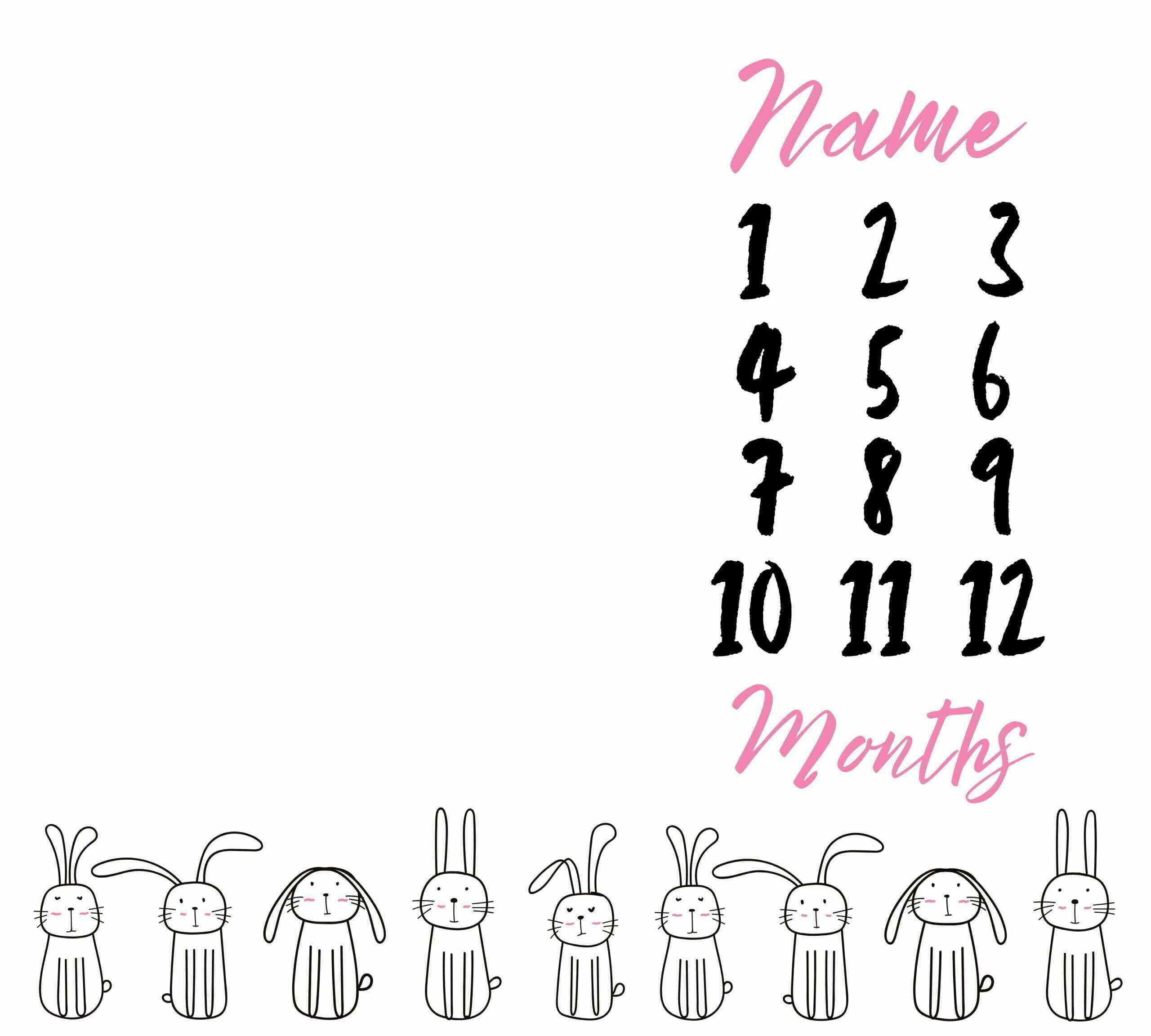 Cute Bunnies for Girls Milestone Blanket