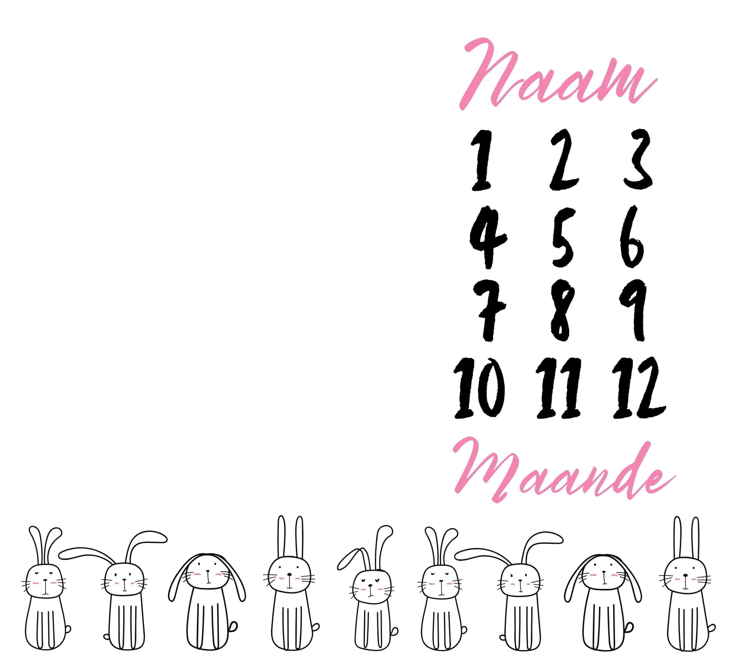 Cute Bunnies for Girls Milestone Blanket