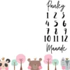 Girly Woodlands Theme Milestone Blanket