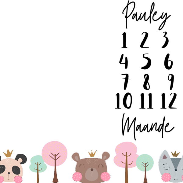 Girly Woodlands Theme Milestone Blanket