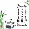 Panda 2 Milestone Blanket