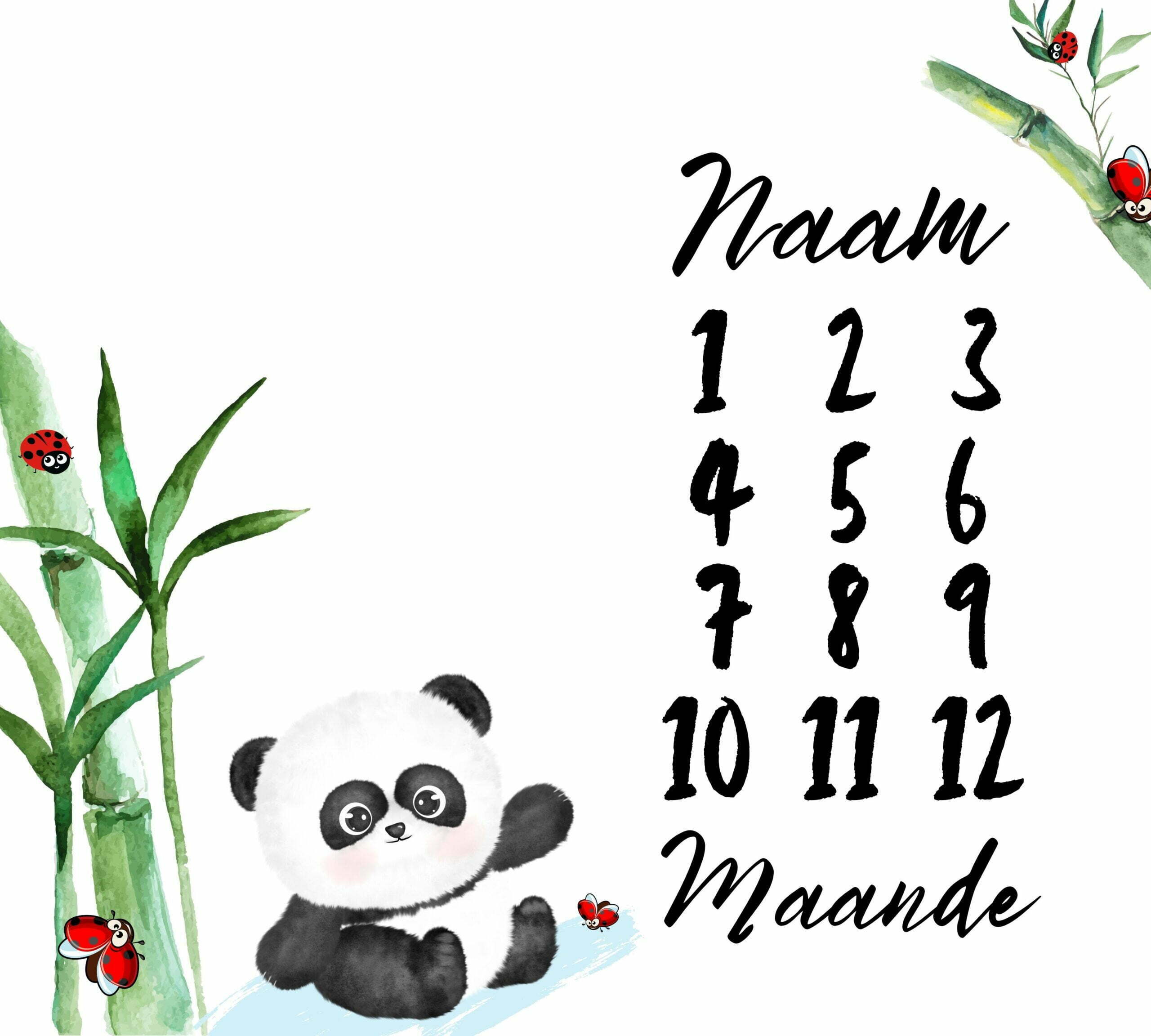 Panda 2 Milestone Blanket