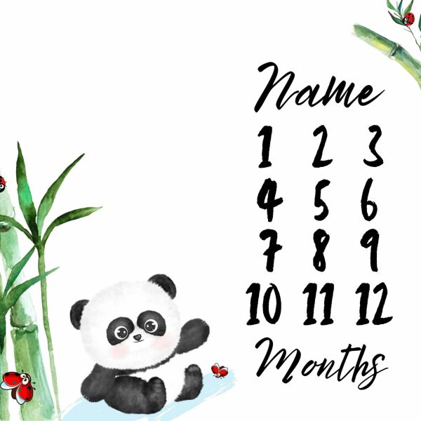 Panda 2 Milestone Blanket
