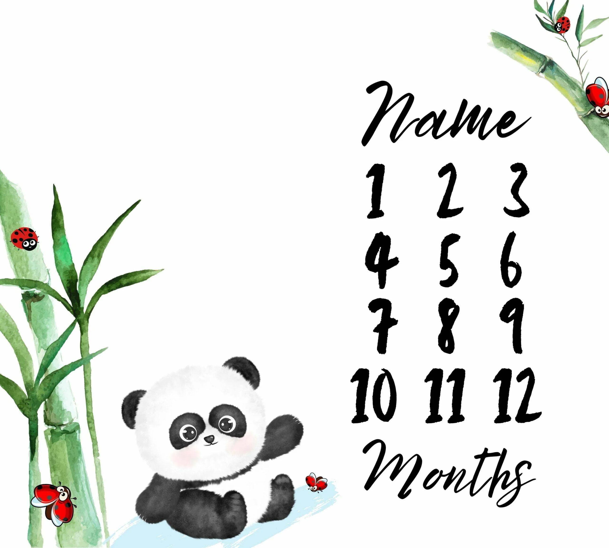 Panda 2 Milestone Blanket