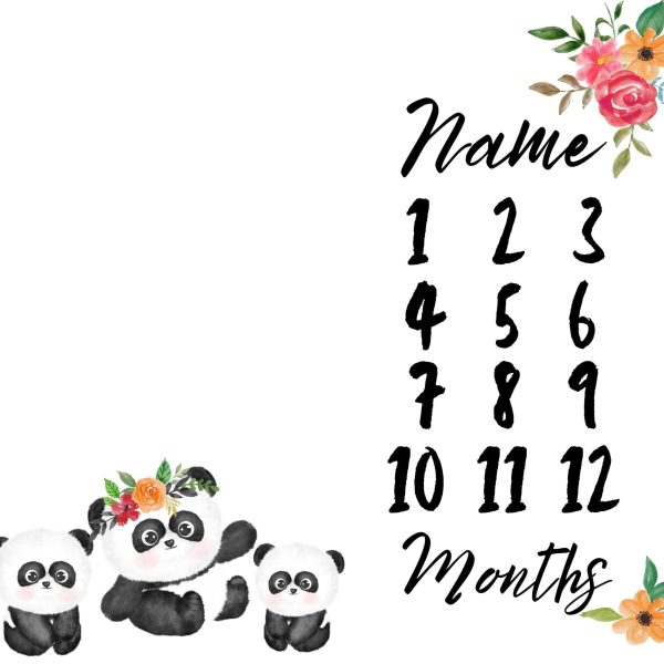 Panda 4 Milestone Blanket