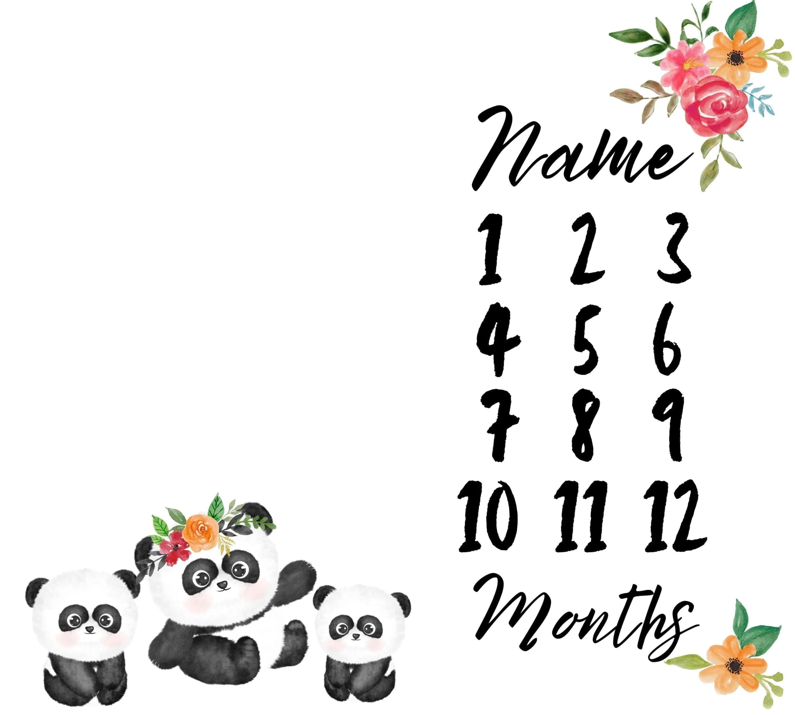 Panda 4 Milestone Blanket