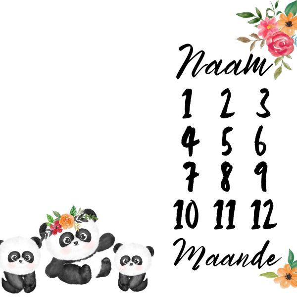 Panda 4 Milestone Blanket