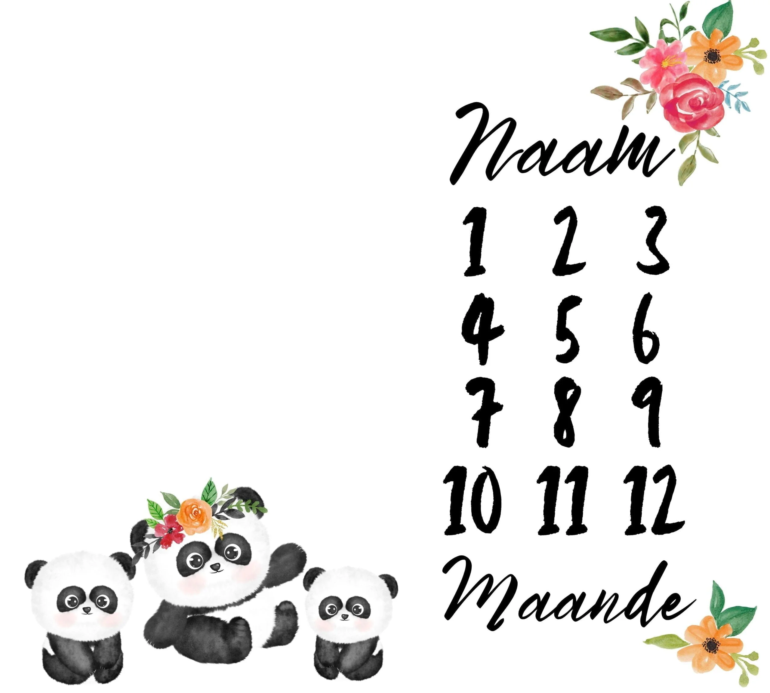 Panda 4 Milestone Blanket