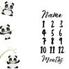 Panda Milestone Blanket