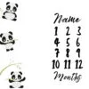 Panda Milestone Blanket