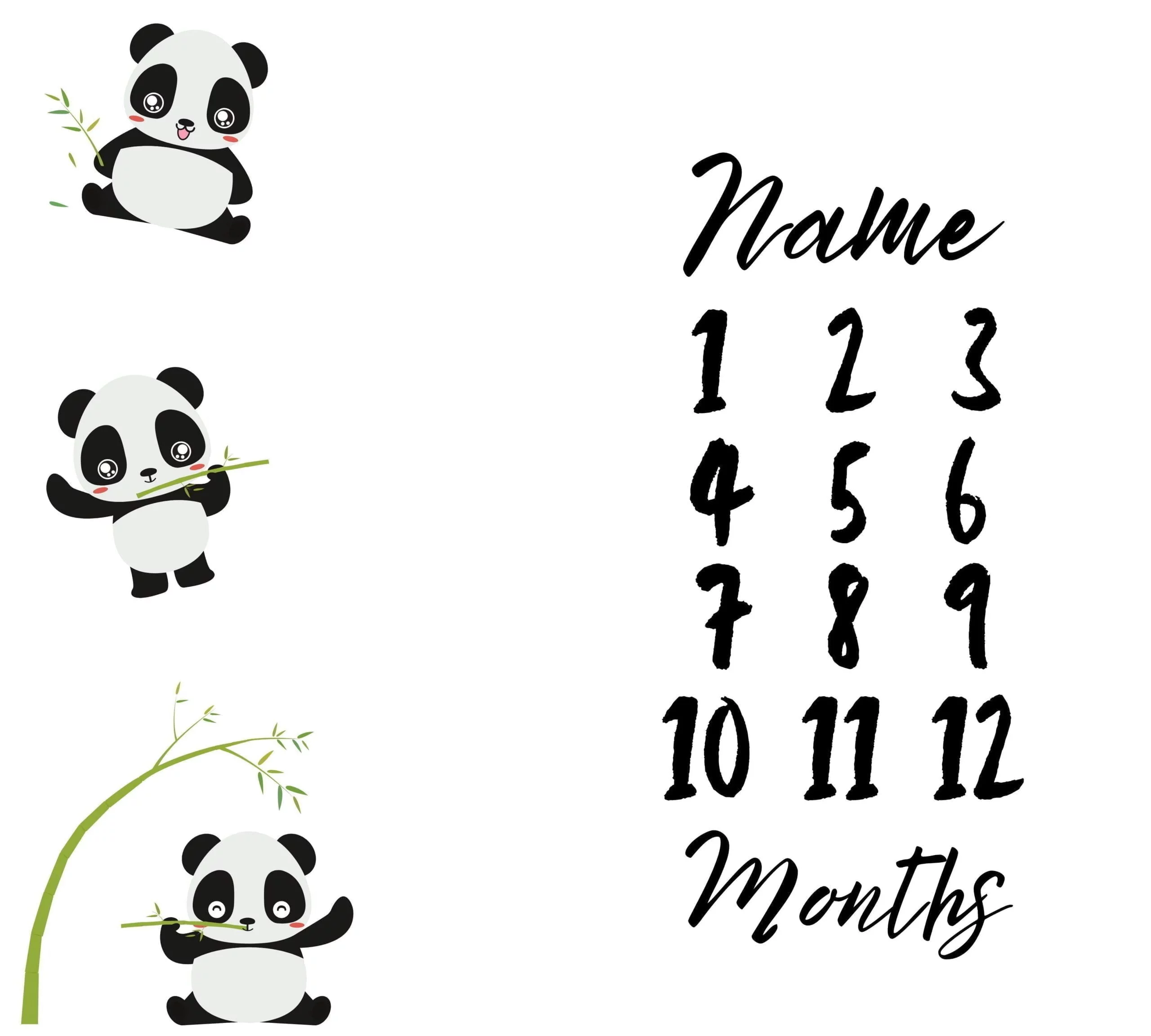 Panda Milestone Blanket