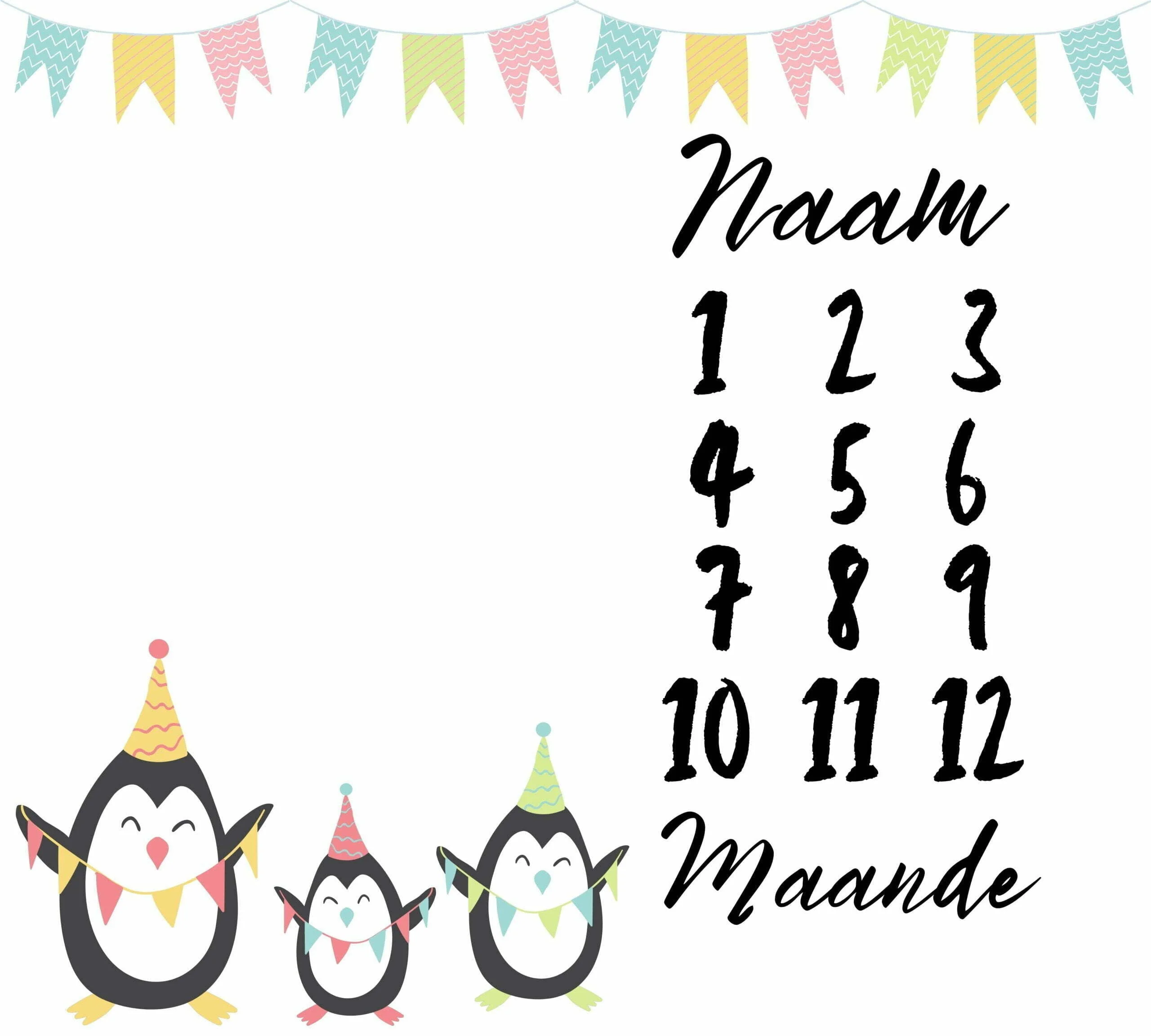 Penguin Milestone Blanket