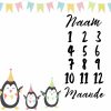 Penguin Milestone Blanket