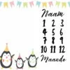 Penguin Milestone Blanket