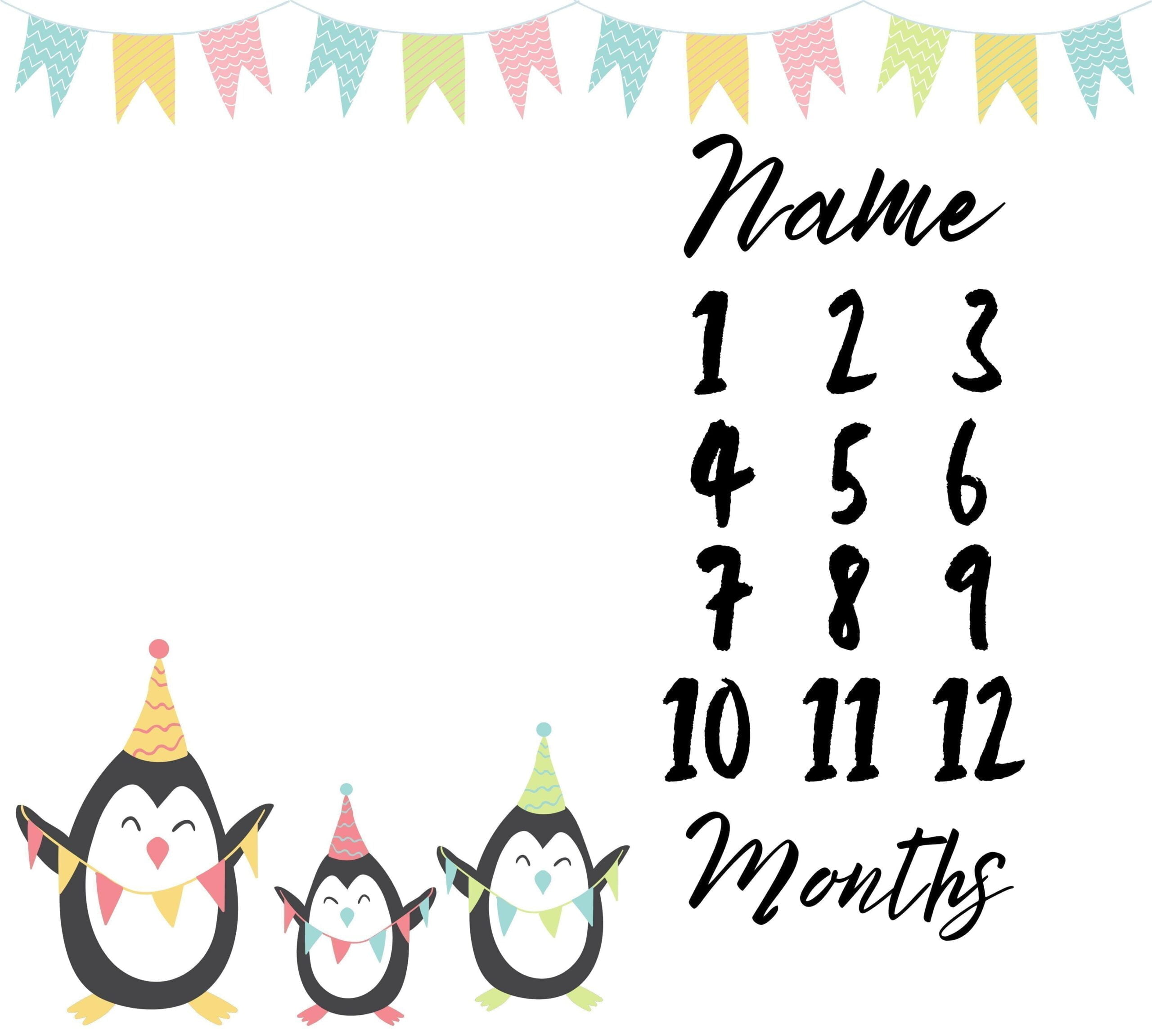 Penguin Milestone Blanket