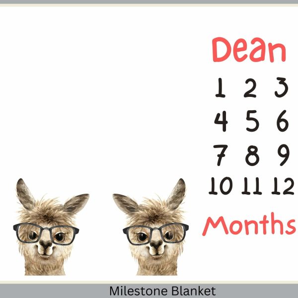 Llama Boys Milestone Blanket Eng